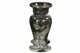 Limestone Vase With Orthoceras Fossils #104648-1